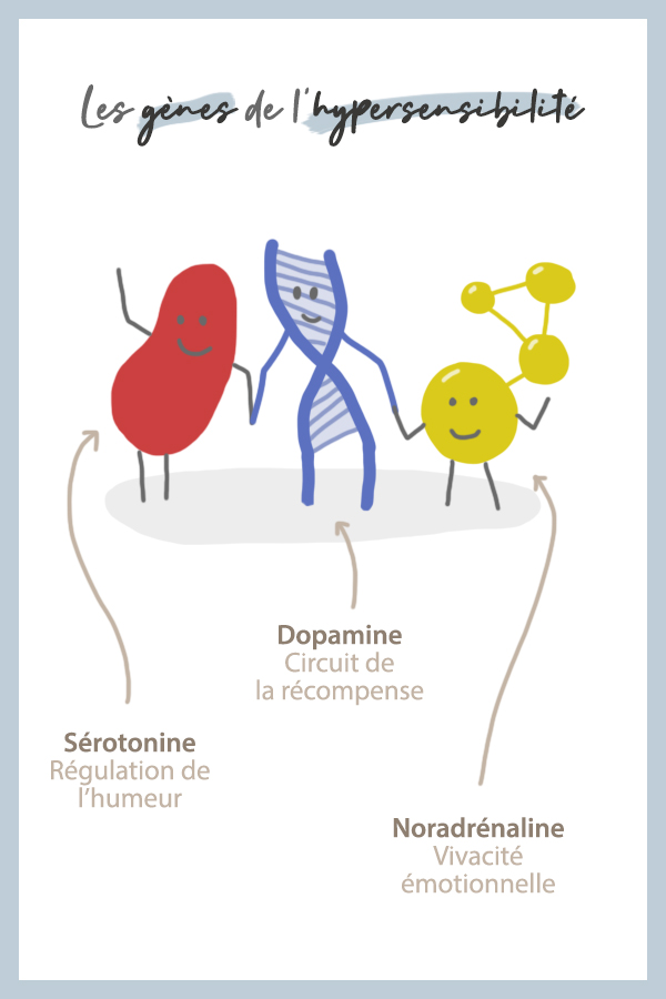 gene hypersensibilite Ces 3 ensembles de gènes font de vous une personne hypersensible